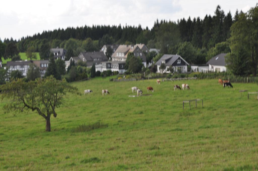 Landschafts-Gasthaus Brautigam-Hanses Schmallenberg Zewnętrze zdjęcie